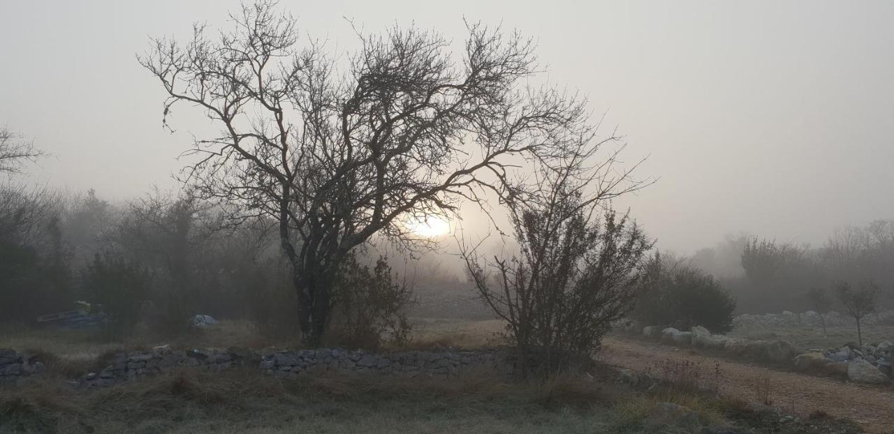 Gites Du Combeau Saint-Maurice-d'Ibie ภายนอก รูปภาพ