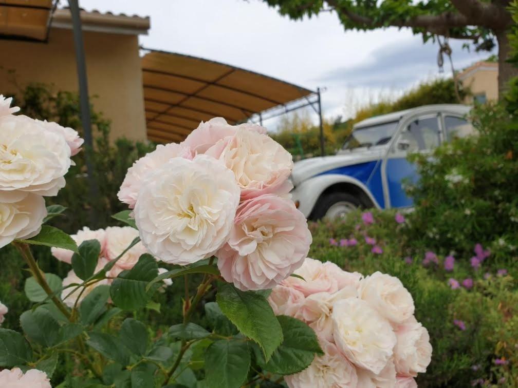 Gites Du Combeau Saint-Maurice-d'Ibie ภายนอก รูปภาพ