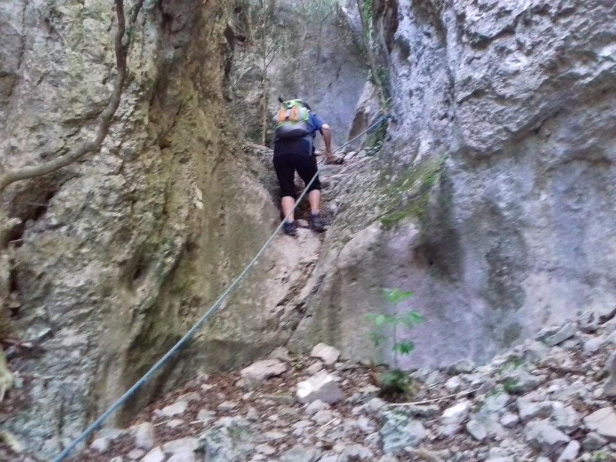 Gites Du Combeau Saint-Maurice-d'Ibie ภายนอก รูปภาพ