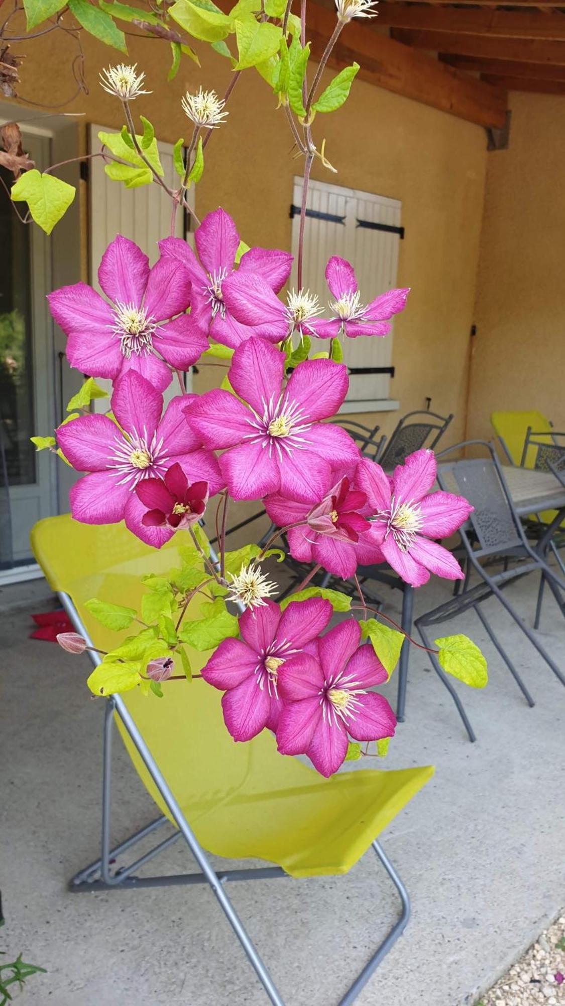 Gites Du Combeau Saint-Maurice-d'Ibie ห้อง รูปภาพ